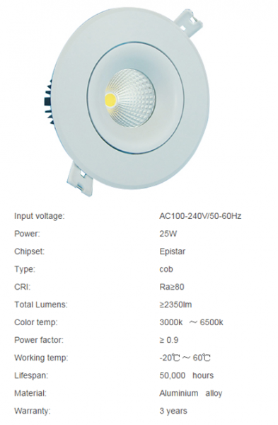 LED DownLighters