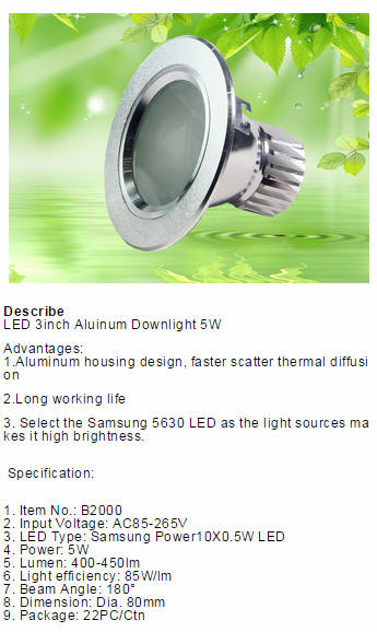 LED DownLighters