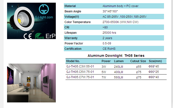 LED DownLighters