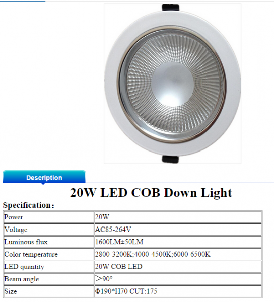 LED DownLighters