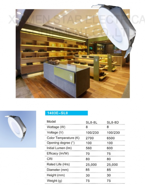 LED DownLighters