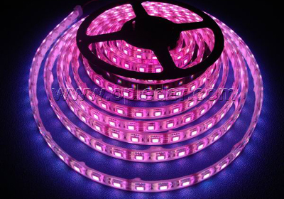 LED Strip Lights