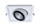 LED DownLighters