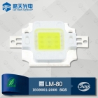 LED COB