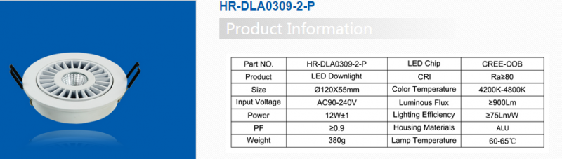 LED DownLighters