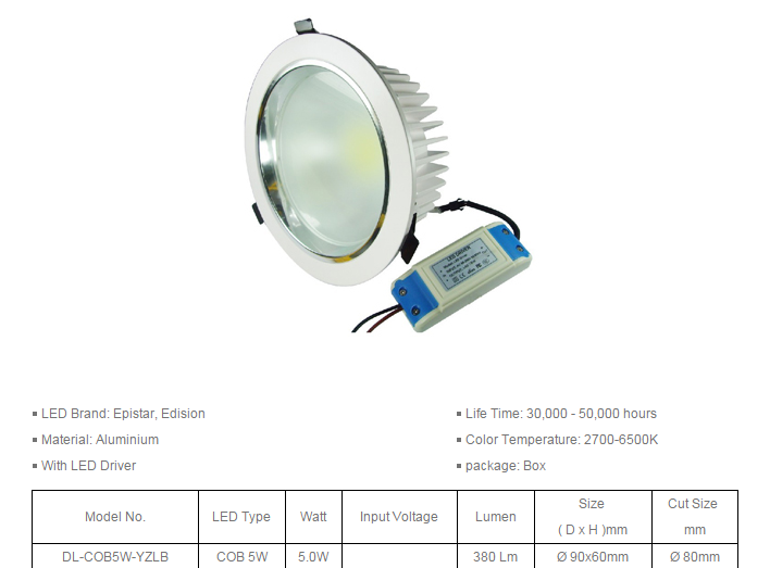 LED DownLighters