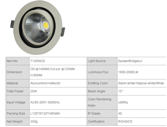 LED DownLighters