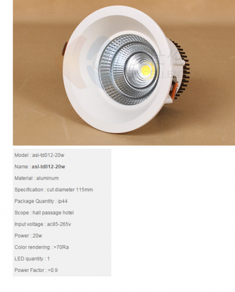 LED DownLighters