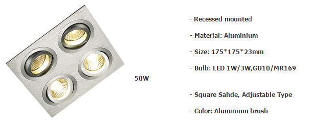 LED DownLighters