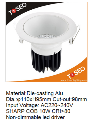 LED DownLighters