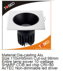 LED DownLighters