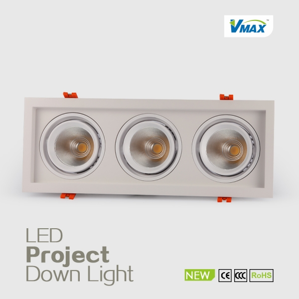 LED DownLighters