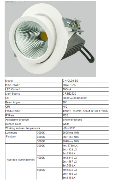 LED DownLighters