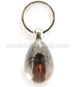 Insect Key Chains--SK0857
