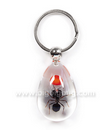 Insect Key Chains--SK0866