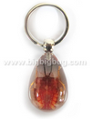 Insect Key Chains--SK0887
