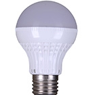 LED Bulb Light