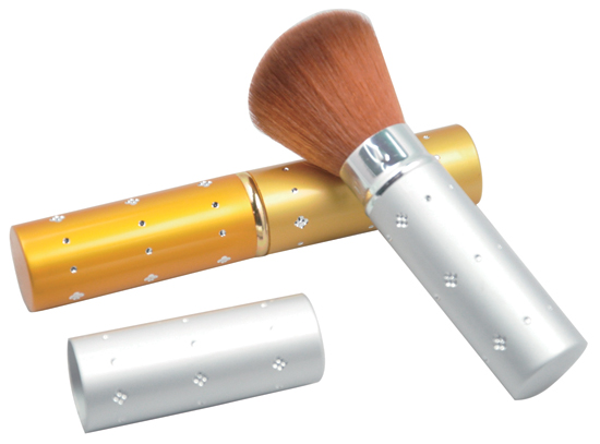 Cosmetic Brush Set