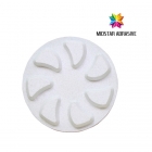 Polishing Pad