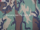 Camouflage Fabric