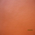 Synthetic Leather