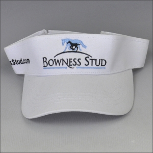 Brim golf visor