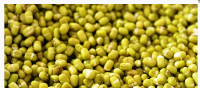 Green Mung Bean