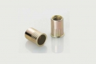 Rivet Nut