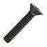 Flat Socket Cap Screw