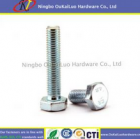 Hex Bolt