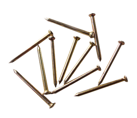 Common nail