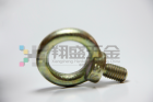 Eye Bolt