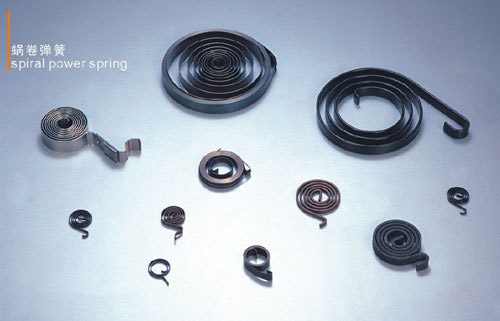 Volute Spring