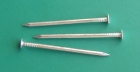 Common steel nail