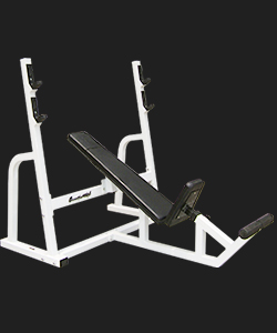 Bench Press