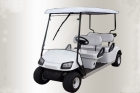 Electric Golf Cart