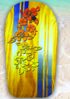 Surfing Board