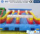 Inflatable Castles