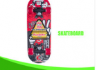 Skate Board