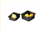 Plastic Food Container