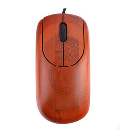 Computer Mouse