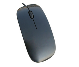 Computer Mouse