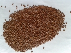 Flax seed