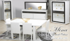 Dining room furniture Set