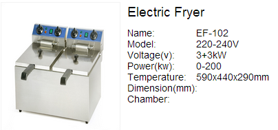 Electric Fryer