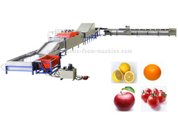 Fruit Washing and Waxing Machine