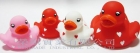 Valentine Heart Duck Set