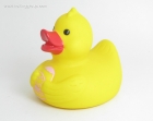 BB duck
