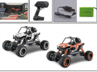 Radio Controlled Cars