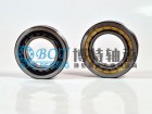 Roller Bearings